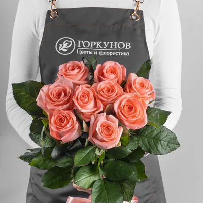 Роза Liesbeth